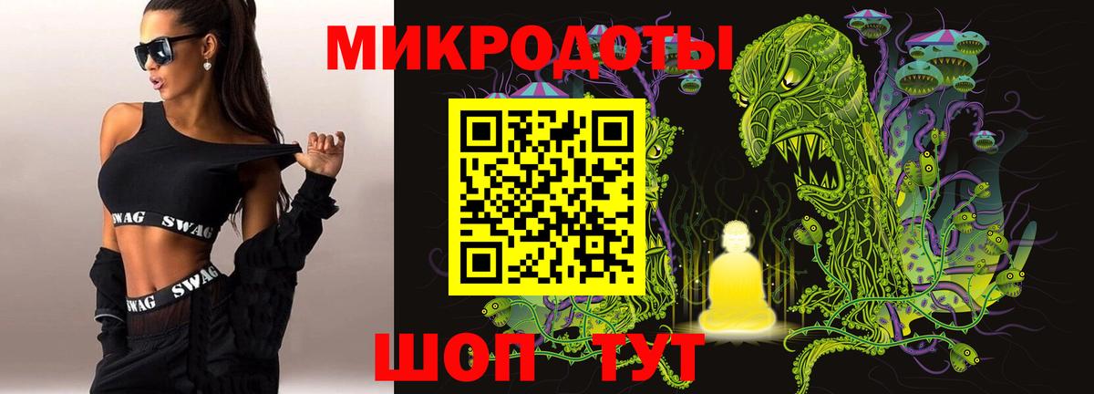 Псилоцибиновые грибы Psilocybine cubensis Усть-Джегута