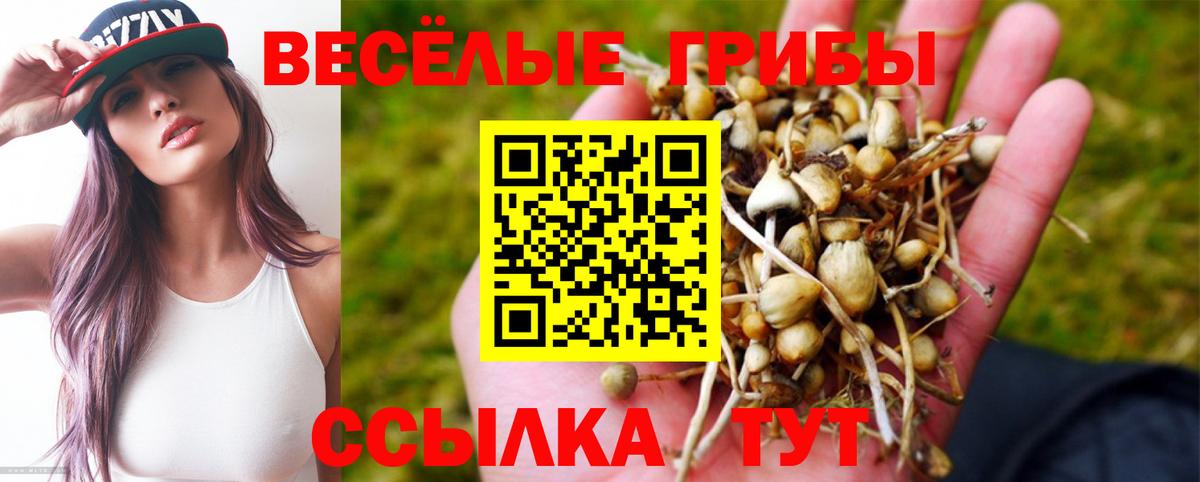 Псилоцибиновые грибы MAGIC MUSHROOMS  Вход с VPN  Усть-Джегута 